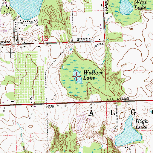 Topographic Map of Wallace Lake, MI