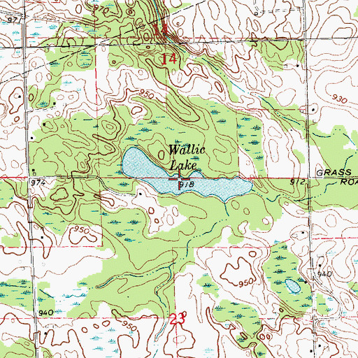 Topographic Map of Wallic Lake, MI