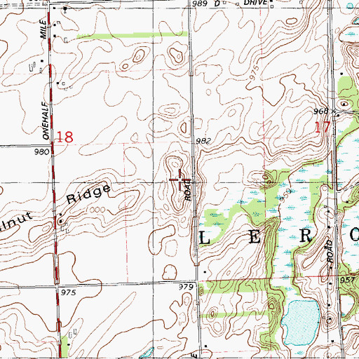 Topographic Map of Walnut Ridge, MI