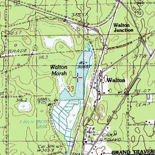 Topographic Map of Walton Marsh, MI