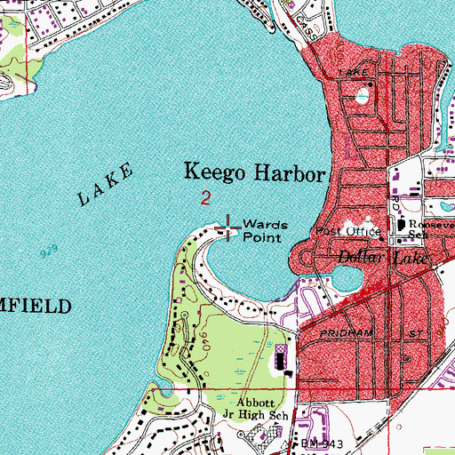 Topographic Map of Wards Point, MI