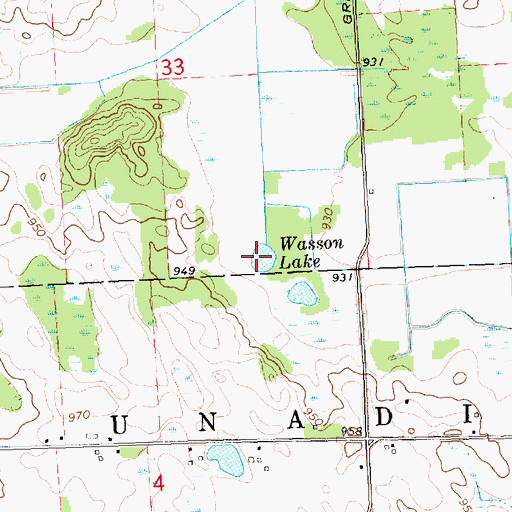 Topographic Map of Wasson Lake, MI