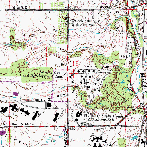 Topographic Map of Wayne County Child Development Center, MI