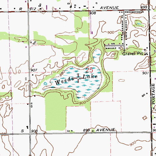 Topographic Map of Weeds Lake, MI