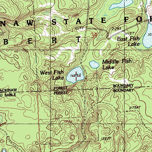 Topographic Map of West Fish Lake, MI