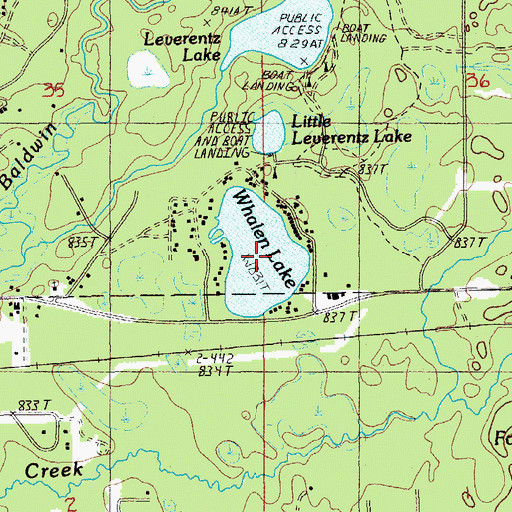 Topographic Map of Whalen Lake, MI