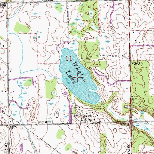 Topographic Map of Whalen Lake, MI