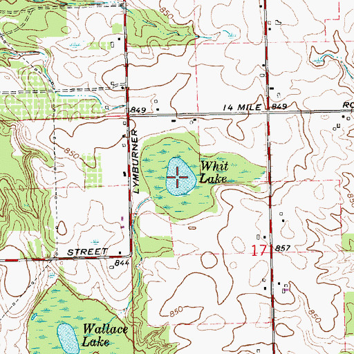 Topographic Map of Whit Lake, MI