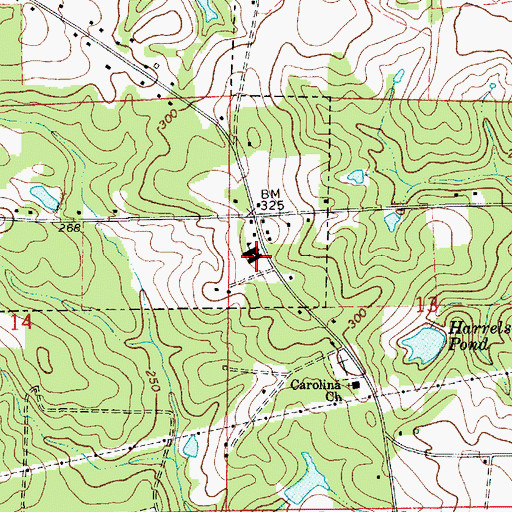Topographic Map of Carolina School, AL