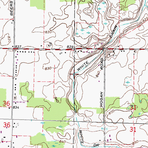 Topographic Map of White Drain, MI