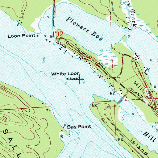 Topographic Map of White Loon Island, MI