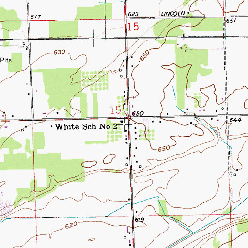 Topographic Map of White School Number 2, MI