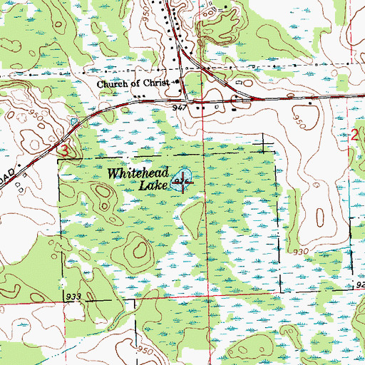 Topographic Map of Whitehead Lake, MI