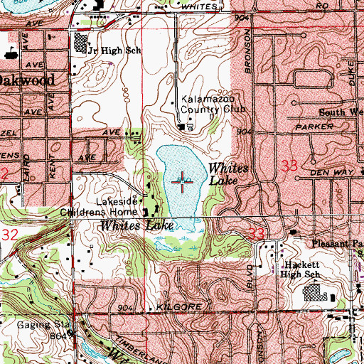 Topographic Map of Whites Lake, MI