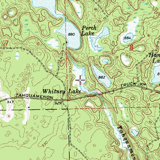 Topographic Map of Whitney Lake, MI