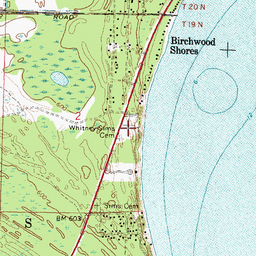 Topographic Map of Whitney Sims Cemetery, MI