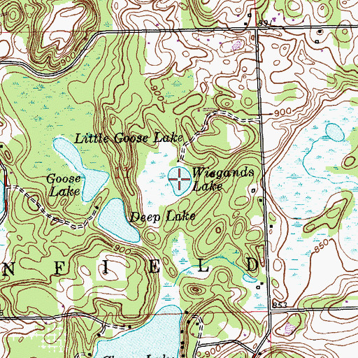 Topographic Map of Wiegands Lake, MI