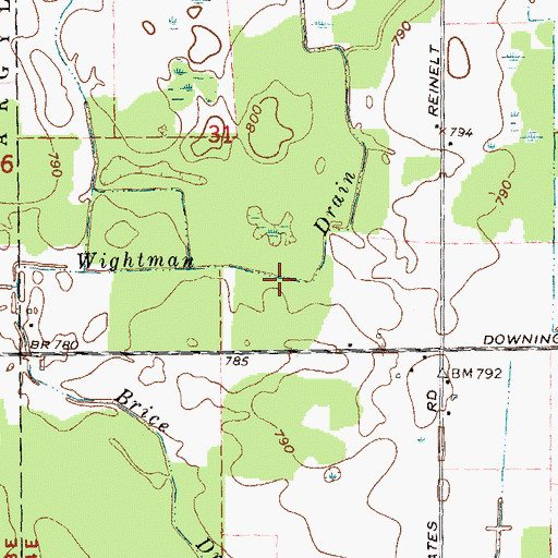 Topographic Map of Wightman Drain, MI