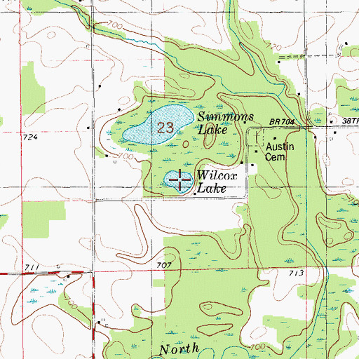 Topographic Map of Wilcox Lake, MI