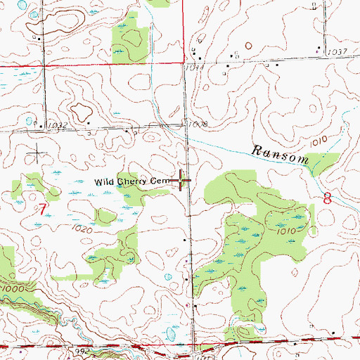Topographic Map of Wild Cherry Cemetery, MI