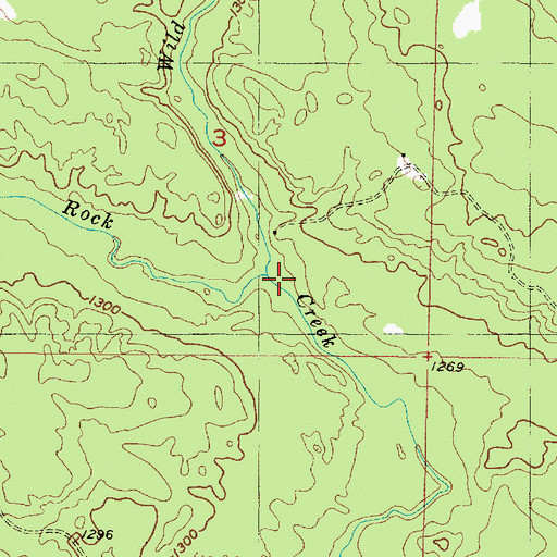 Topographic Map of Wild West Creek, MI