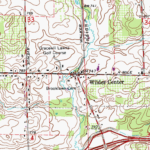 Topographic Map of Wilder Center, MI