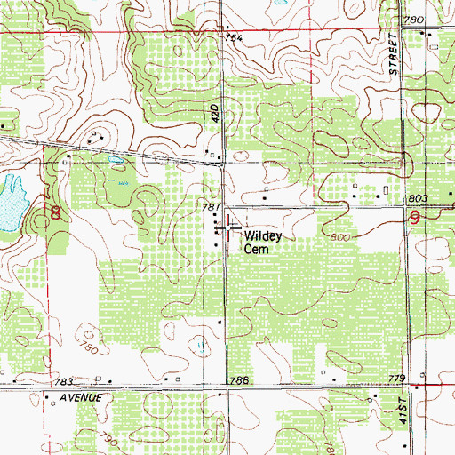 Topographic Map of Wildey Cemetery, MI
