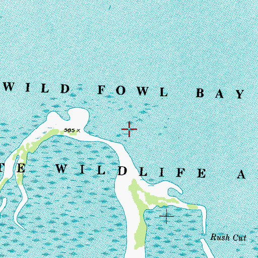 Topographic Map of Wild Fowl Bay State Park, MI