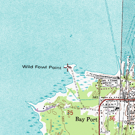 Topographic Map of Wild Fowl Point, MI