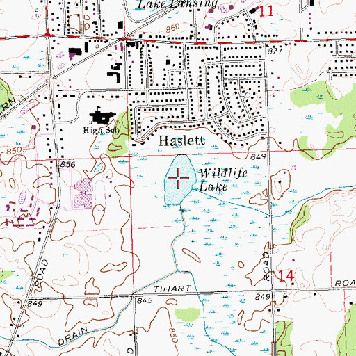 Topographic Map of Wildlife Lake, MI