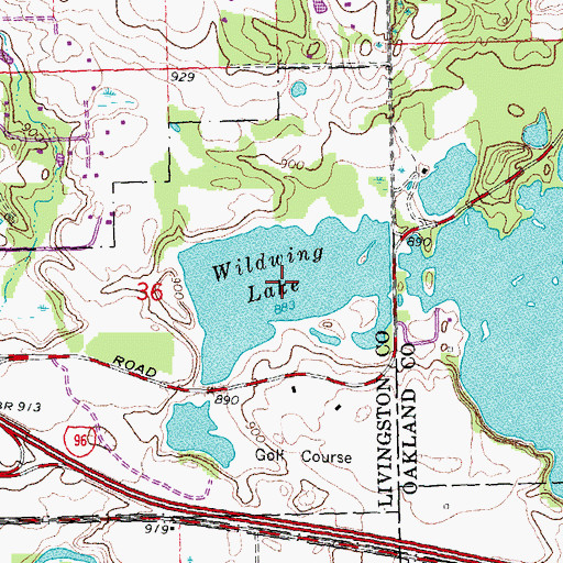 Topographic Map of Wildwing Lake, MI