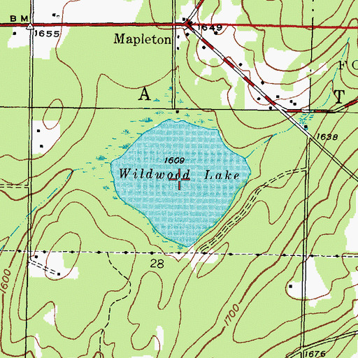 Topographic Map of Wildwood Lake, MI