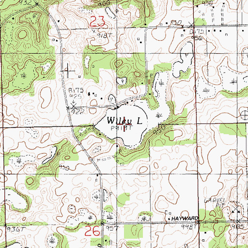 Topographic Map of Wiley Lake, MI