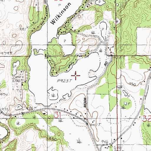 Topographic Map of Wilkinson Lake, MI