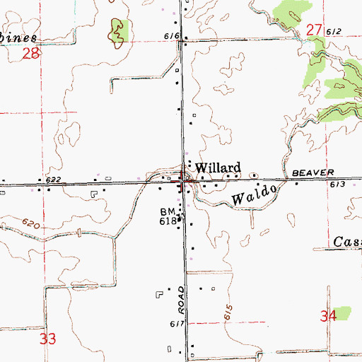 Topographic Map of Willard, MI