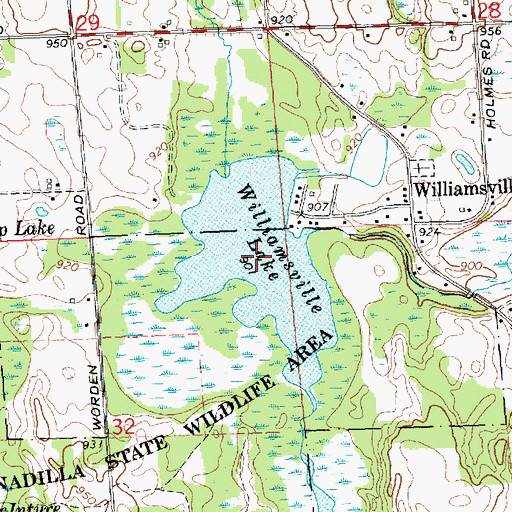 Topographic Map of Williamsville Lake, MI