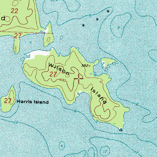 Topographic Map of Wilson Island, MI