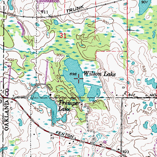 Topographic Map of Wilson Lake, MI