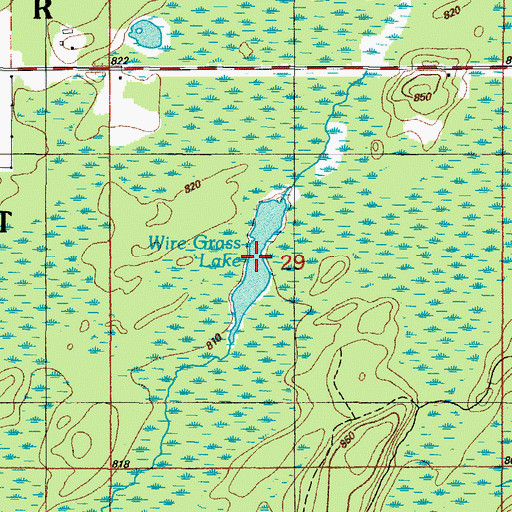 Topographic Map of Wire Grass Lake, MI