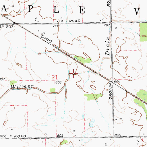 Topographic Map of Witmer Drain, MI