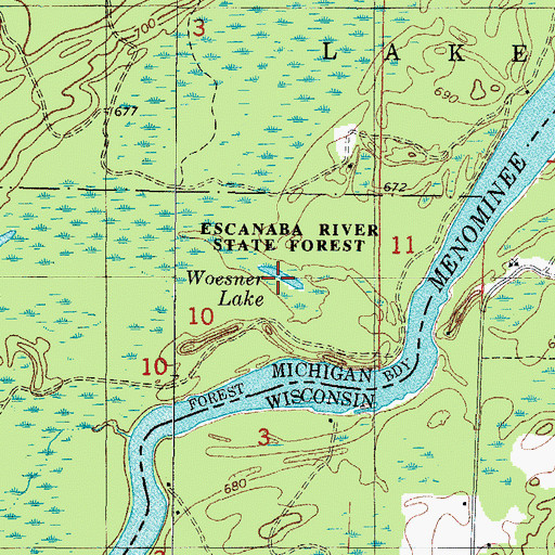 Topographic Map of Woesner Lake, MI