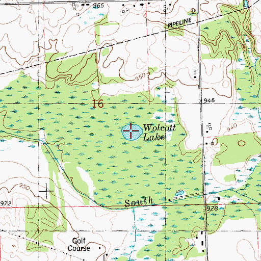 Topographic Map of Wolcott Lake, MI