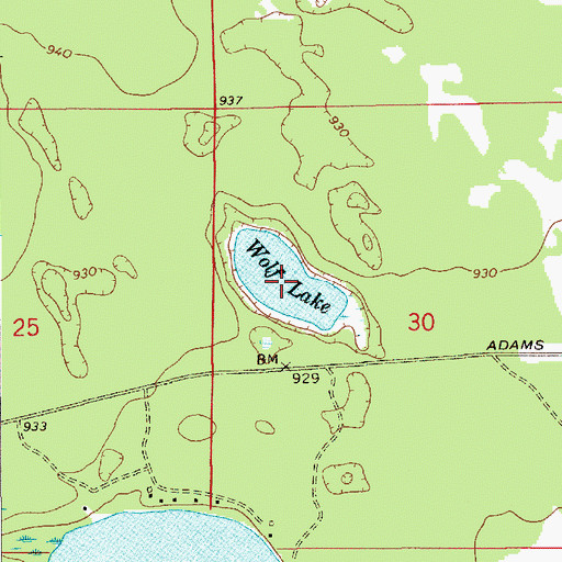 Topographic Map of Wolf Lake, MI
