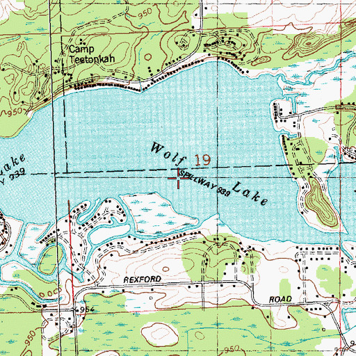 Topographic Map of Wolf Lake, MI