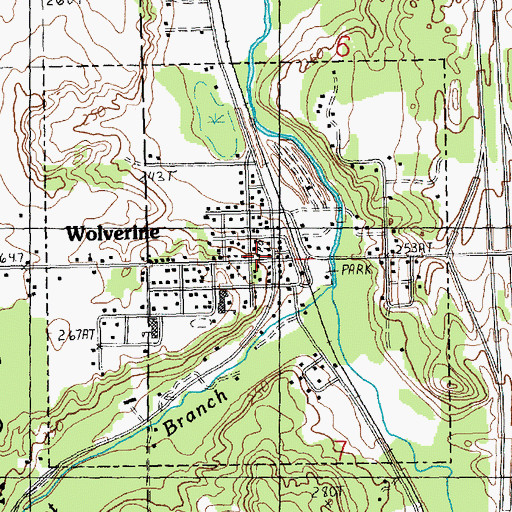 Topographic Map of Wolverine, MI