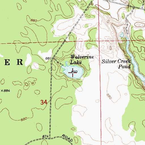 Topographic Map of Wolverine Lake, MI