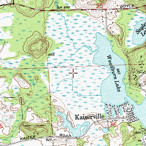 Topographic Map of Woodburn Lake, MI