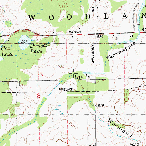 Topographic Map of Woodland Creek, MI