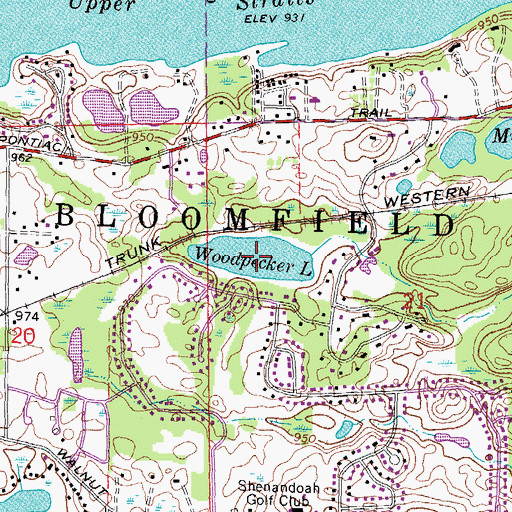 Topographic Map of Woodpecker Lake, MI