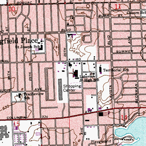 Topographic Map of Woodrow Junior High School, MI